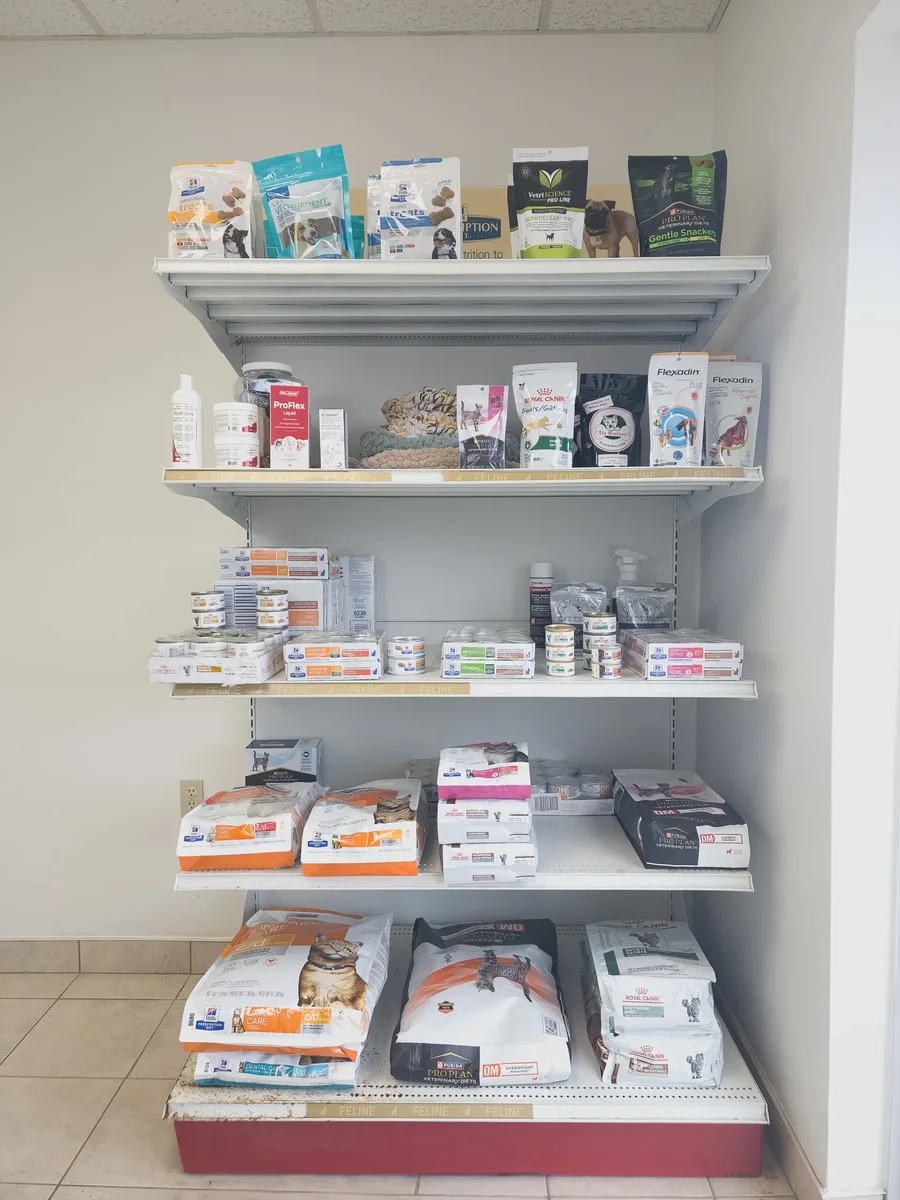 Healthy pet eating nutritious food