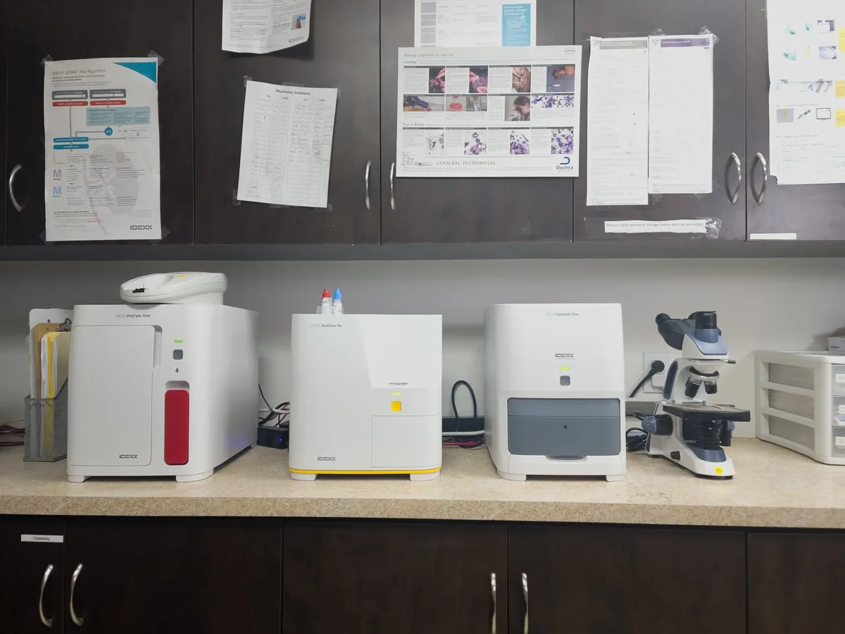 Broadway Animal Hospital Facility - Image 10