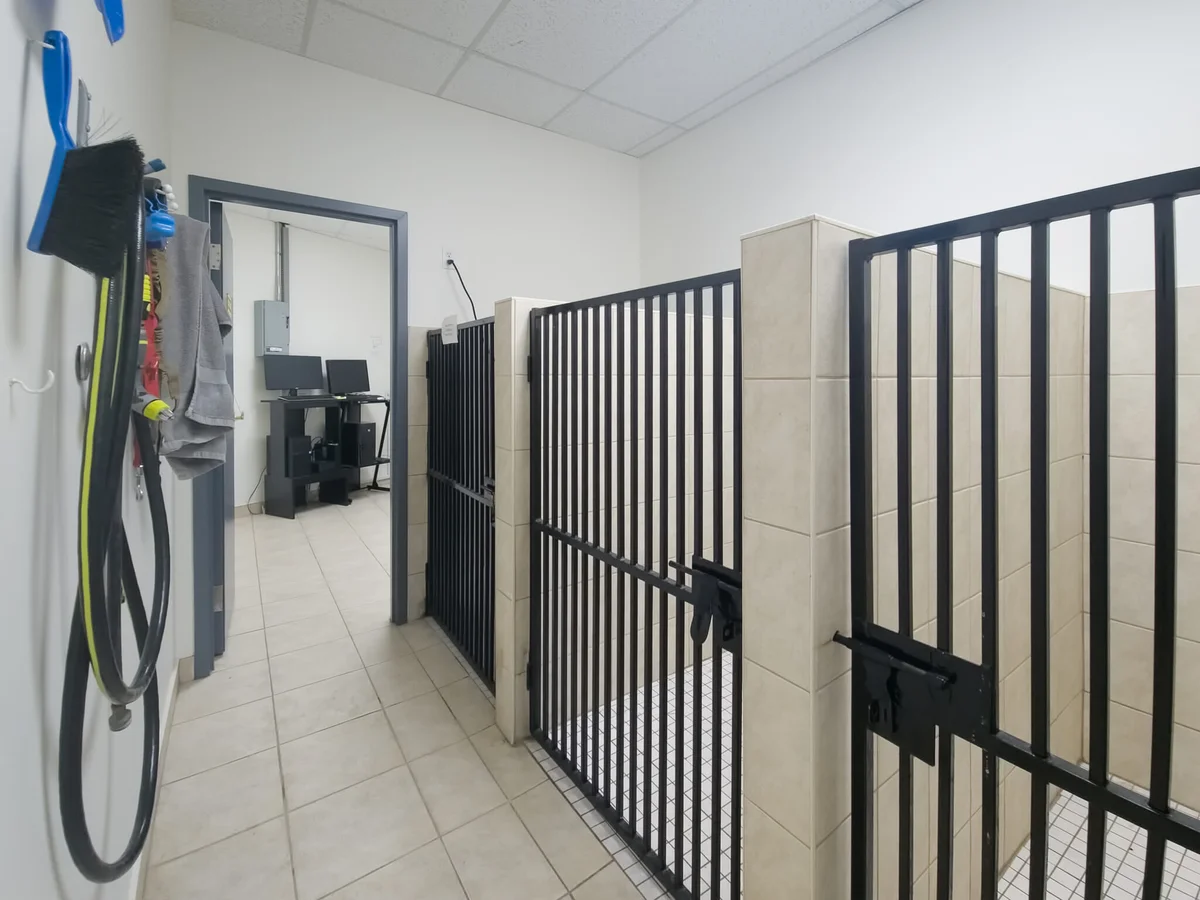 Broadway Animal Hospital Facility - Image 12