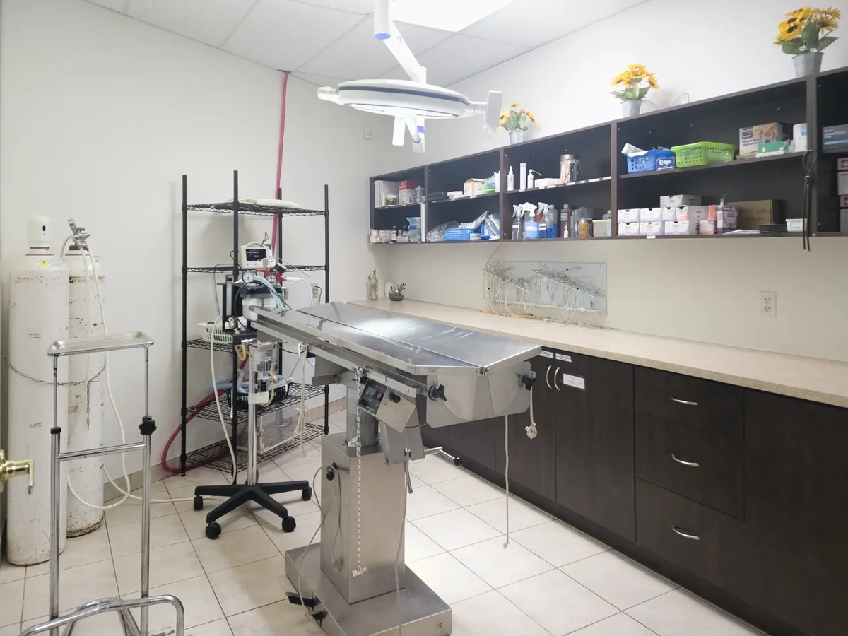 Broadway Animal Hospital Facility - Image 8