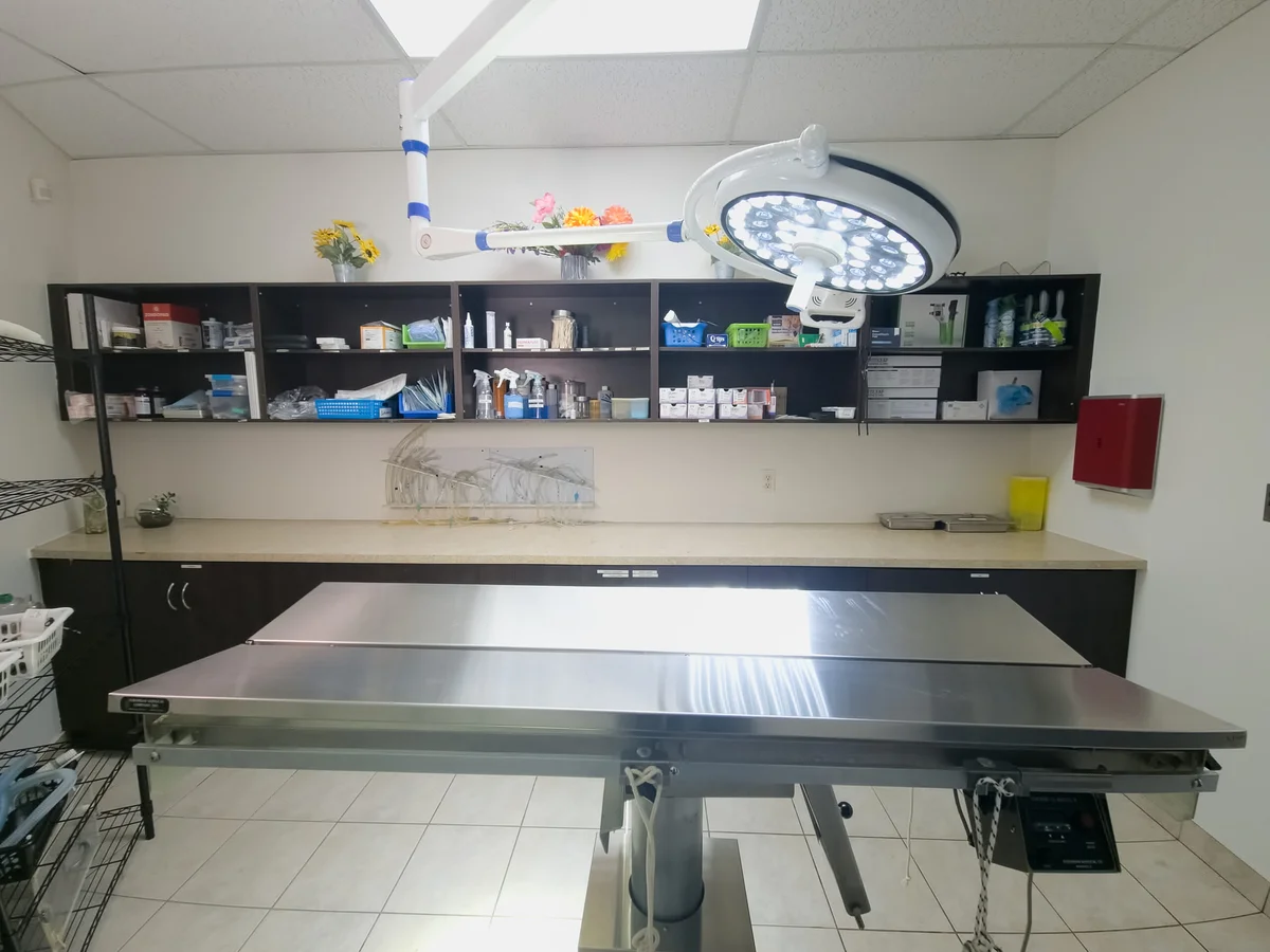 Broadway Animal Hospital Facility - Image 9