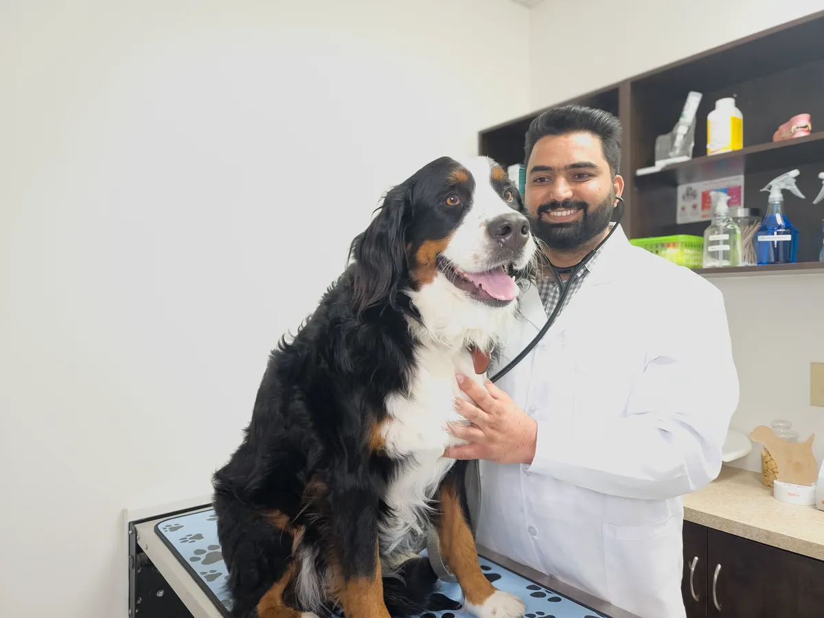 Dr. Aman smiling with a dog and stethoscope