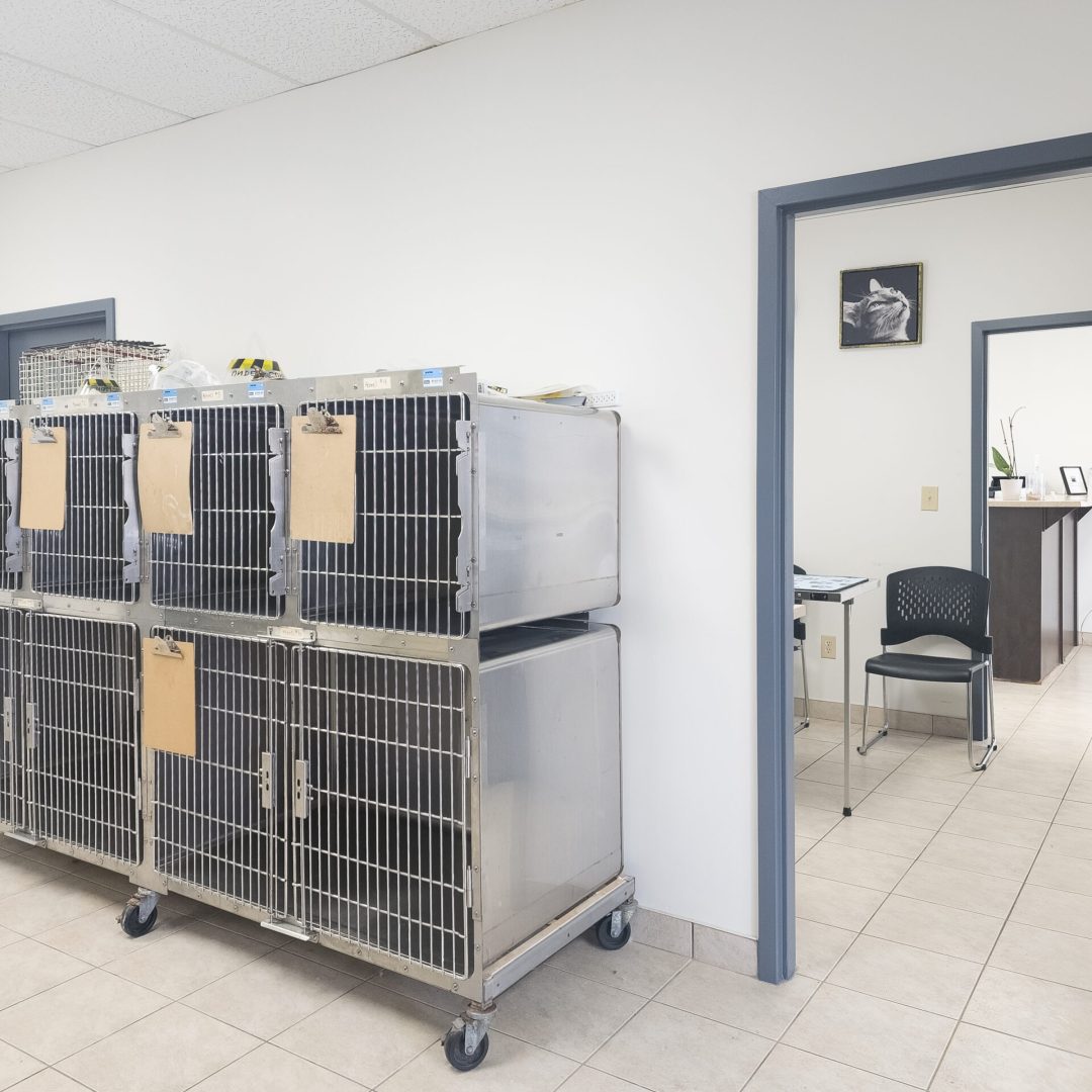 20241105-20241102_113558